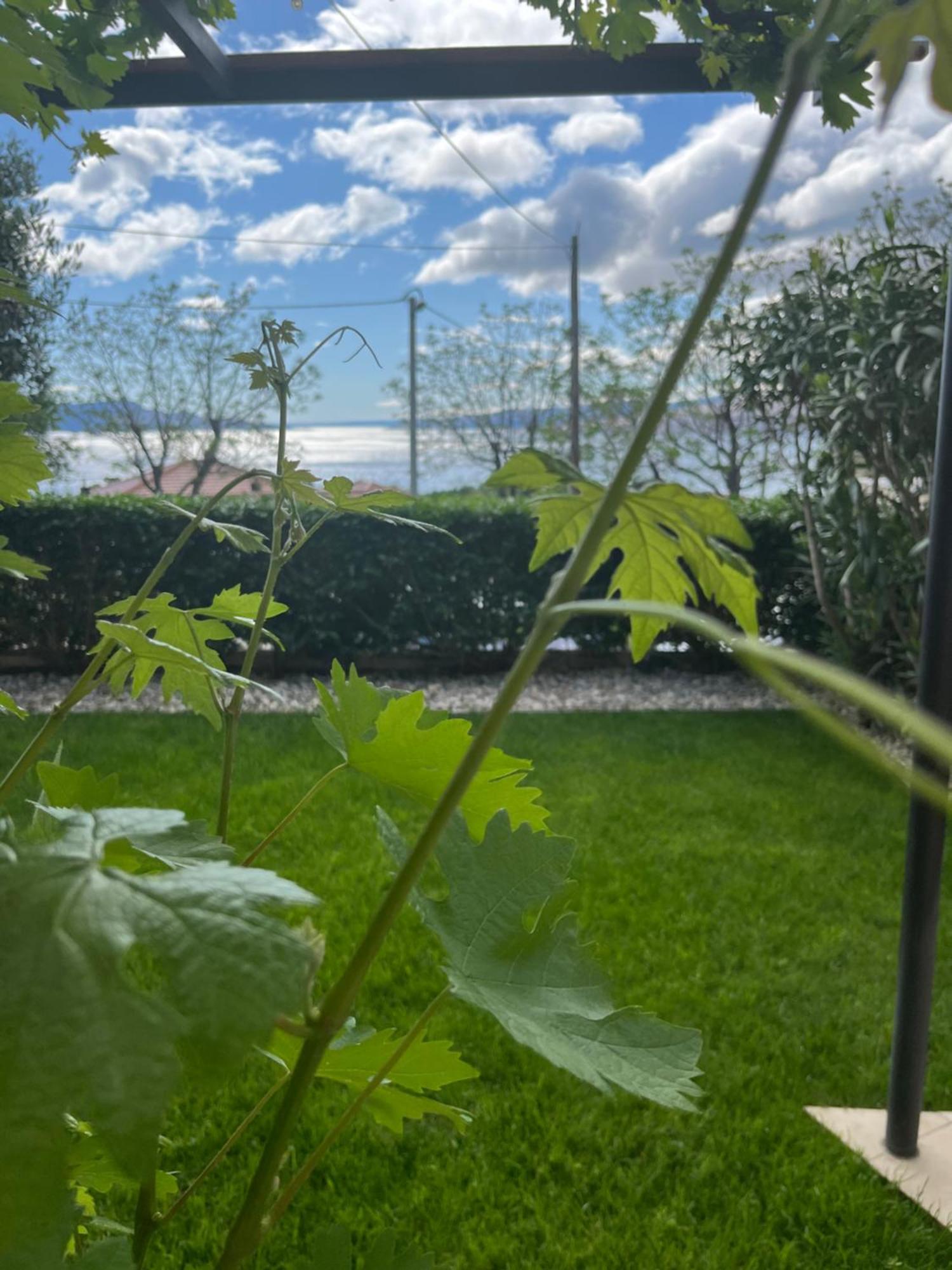Apartman Mia Senj  Esterno foto